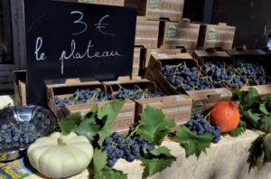 fete-raisin-muscat-2