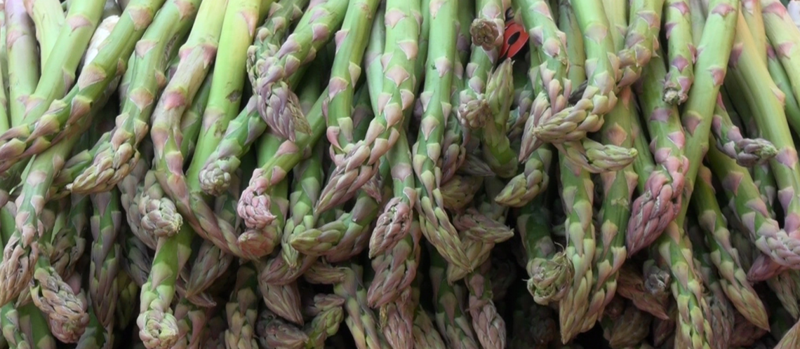 foire aux asperges