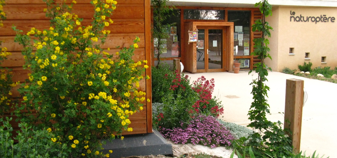 Le Naturoptère secouru par l’Université populaire du Ventoux