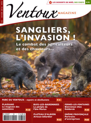 Ventoux Magazine Hiver 2016 N°31