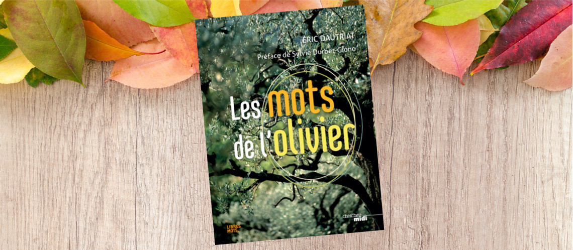 Les mots de l’olivier