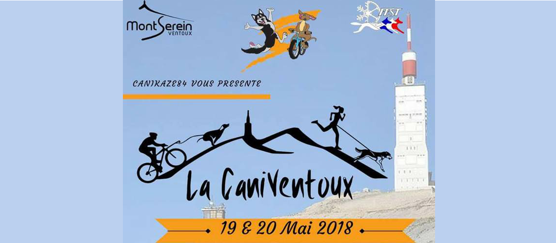 caniventoux