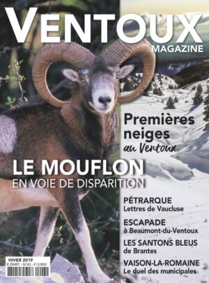 Ventoux Magazine Hiver 2019 N°43