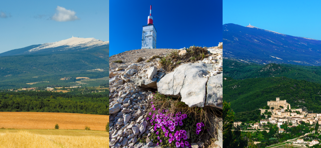 La naissance du Parc du Ventoux officiellement annoncée par la ministre de la Transition Ecologique