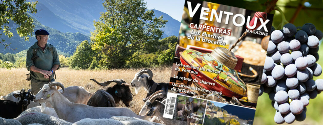 Le Ventoux Magazine Automne 2020 N°46 est paru !