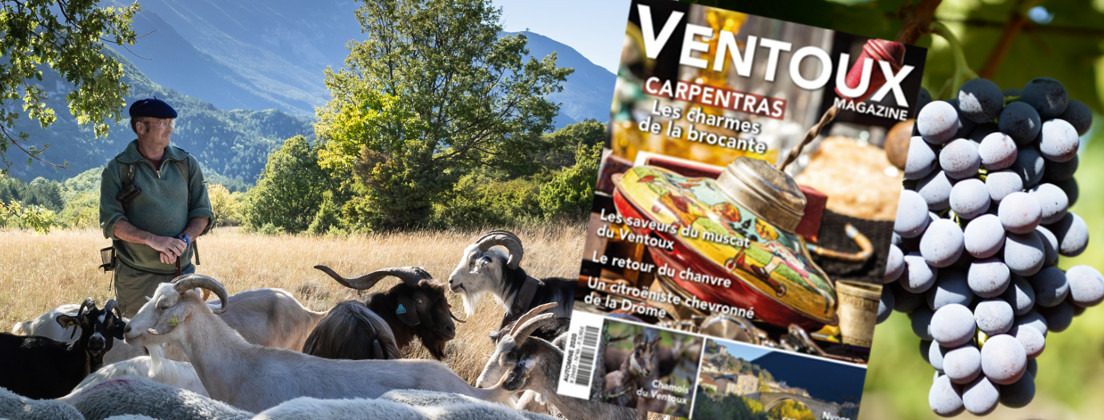 Le Ventoux Magazine Automne 2020 N°46 est paru !