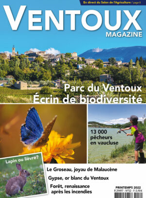 Ventoux Magazine Printemps 2022 N°52
