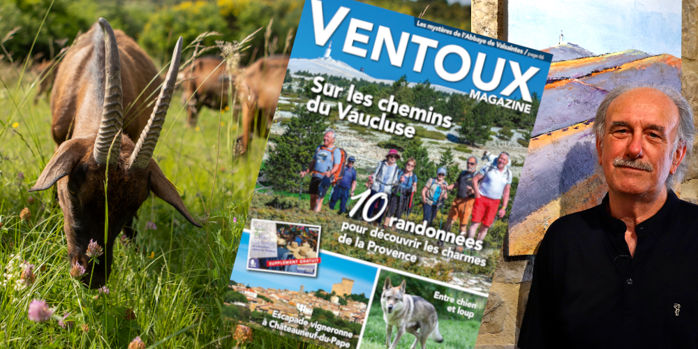 Le nouveau Ventoux Magazine été 2022 est paru !