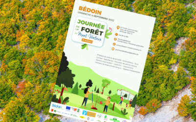 Bédoin fête la forêt ce dimanche 4 septembre