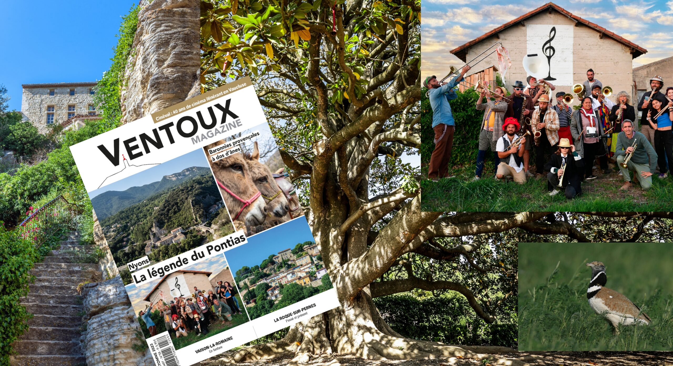 Le nouveau Ventoux Magazine automne est paru !
