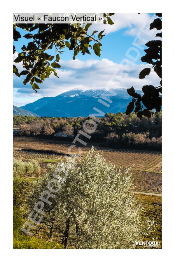 Poster – Image 9