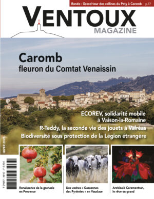 Ventoux Magazine Hiver 2025 N°67